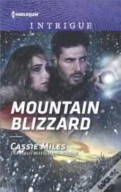 Capa do artigo Mountain Blizzard