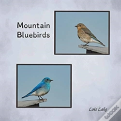 Capa do artigo Mountain Bluebirds