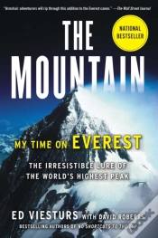 Capa do artigo Mountain