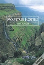 Capa do artigo Mountain Flowers