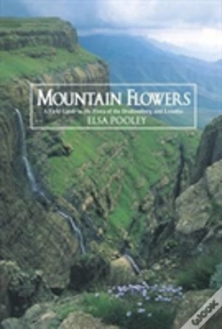 Capa do artigo Mountain Flowers