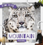 Mountain Food Webs - Preview
