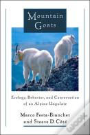 Mountain Goats