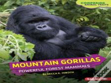 Mountain Gorillas