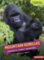 Mountain Gorillas - Preview