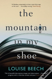 Capa do artigo Mountain In My Shoe
