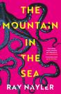 Mountain In The Sea - Preview