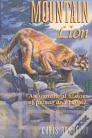 Mountain Lion