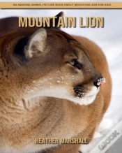 Capa do artigo Mountain Lion