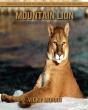 Mountain Lion - Preview