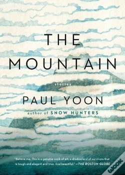 Capa do artigo Mountain