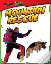 Capa do artigo Mountain Rescue
