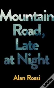 Capa do artigo Mountain Road Late At Night