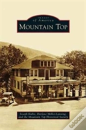 Capa do artigo Mountain Top