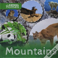 Mountains