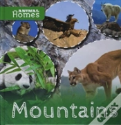 Capa do artigo Mountains