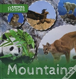 Capa do artigo Mountains