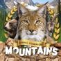 Mountains - Preview