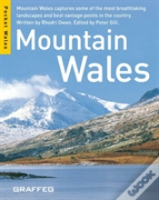 Capa do artigo Mountains Wales