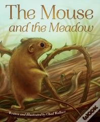 Mouse And The Meadow