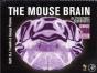 Mouse Brain In Stereotaxic Coordinatescompact - Preview