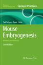Mouse Embryogenesis - Preview