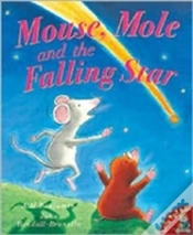 Capa do artigo Mouse, Mole And The Falling Star