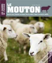 Capa do artigo Mouton