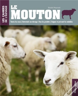 Capa do artigo Mouton