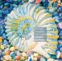 Moving Toward Light Joseph Raffael - Preview