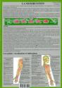 Moxibustion - Preview