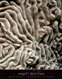 Mozart'S Third Brain - Preview
