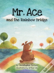 Capa do artigo Mr. Ace And The Rainbow Bridge