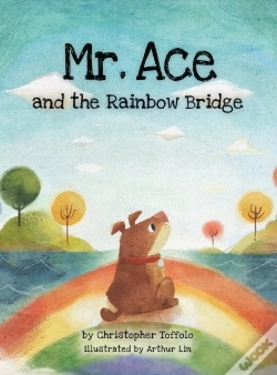 Capa do artigo Mr. Ace And The Rainbow Bridge