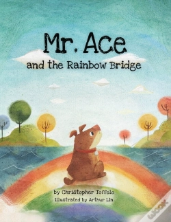 Capa do artigo Mr. Ace And The Rainbow Bridge