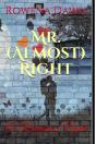 Mr. (Almost) Right - Preview