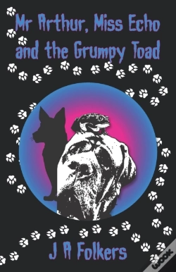 Capa do artigo Mr Arthur, Miss Echo And The Grumpy Toad