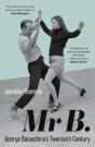 Mr B. - Preview