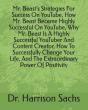 Mr. Beast's Strategies For Success On YouTube - Preview