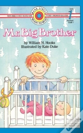 Mr. Big Brother