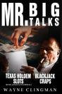 Mr. Big Talks - Preview