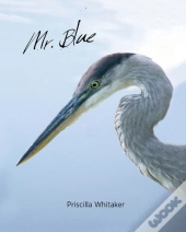 Mr. Blue