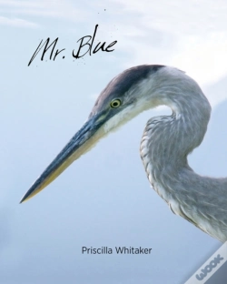 Capa do artigo Mr. Blue