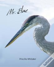Mr. Blue