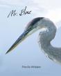 Mr. Blue - Preview