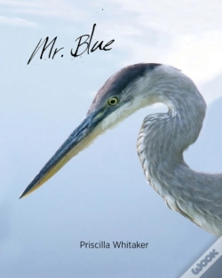 Capa do artigo Mr. Blue