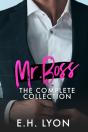 Mr. Boss - Preview