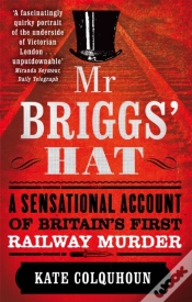 Capa do artigo Mr Briggs