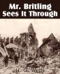 Mr. Britling Sees It Through - Preview