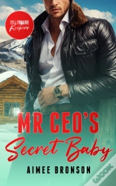 Mr. Ceo'S Secret Baby